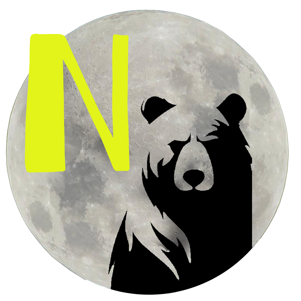 spaceBEAR notes
